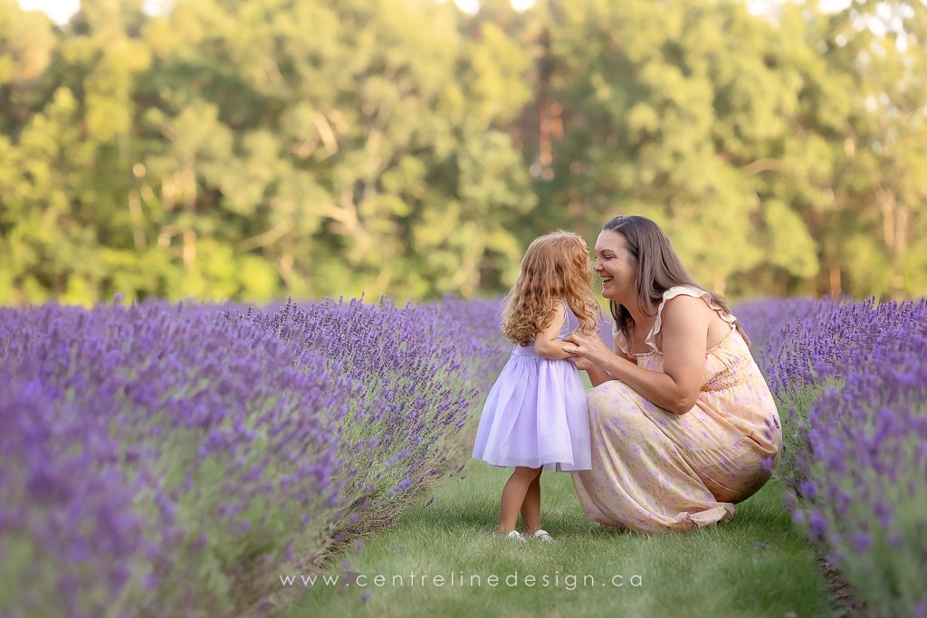 Lavender Mini Session