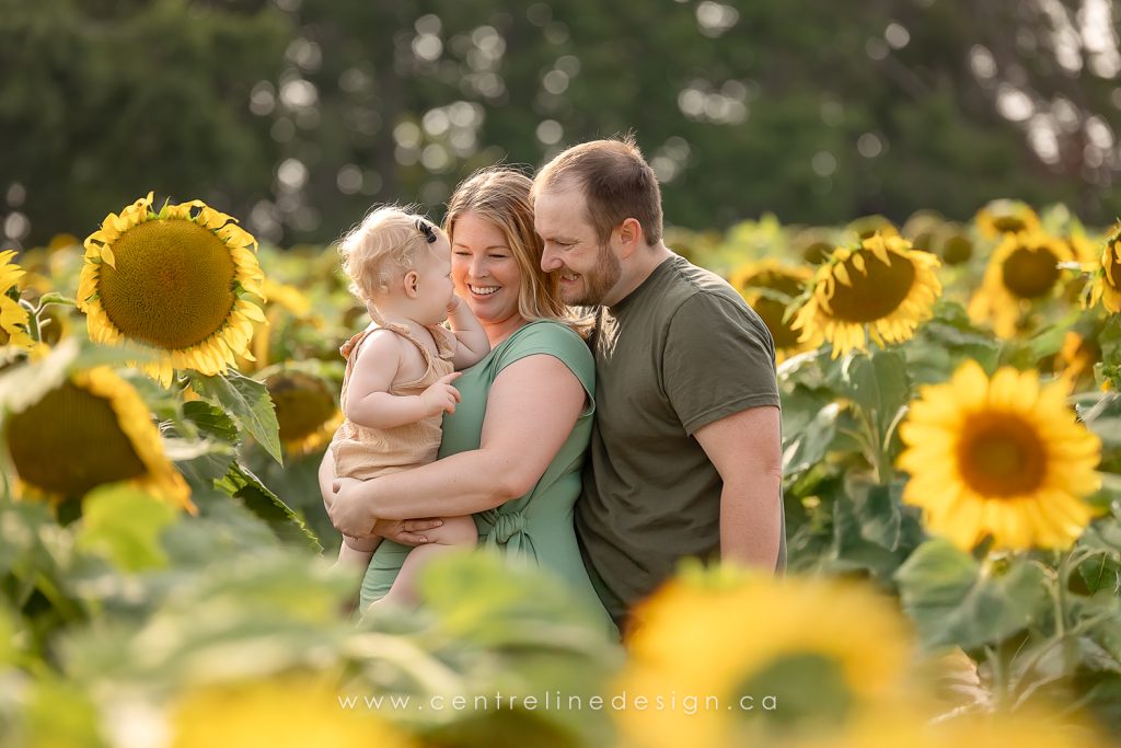 family in sunflower field