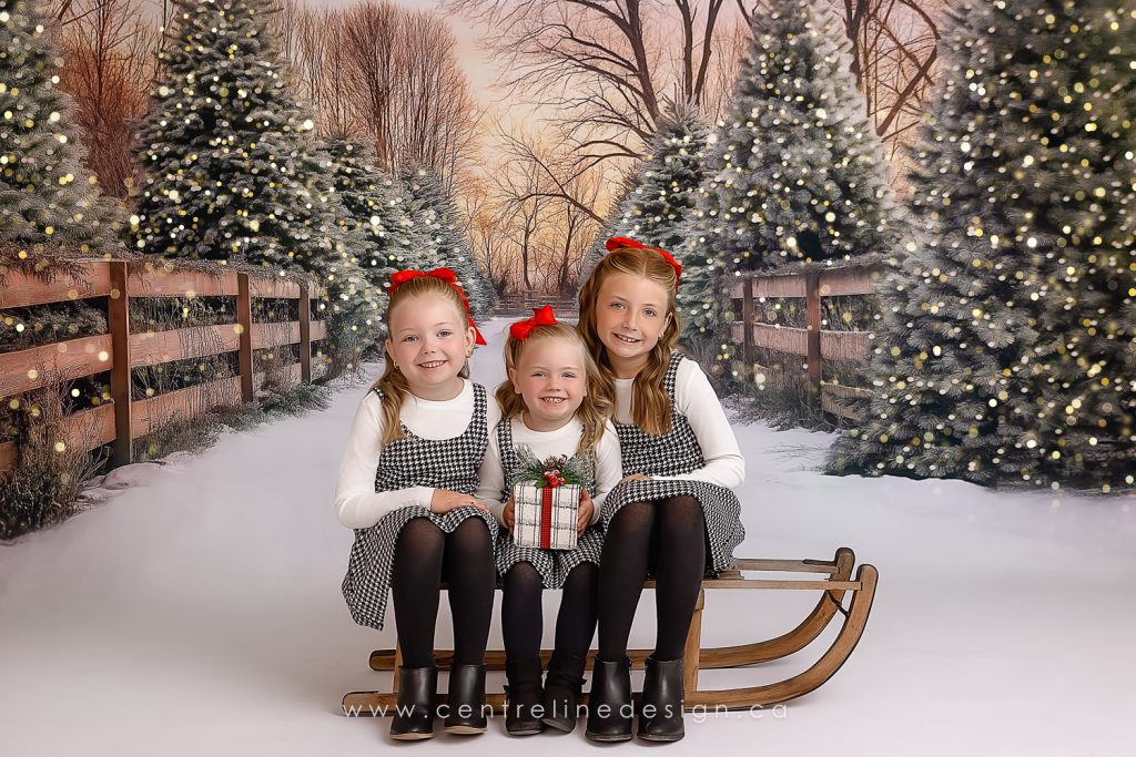 WEB-ChristmasIndoor2025-1