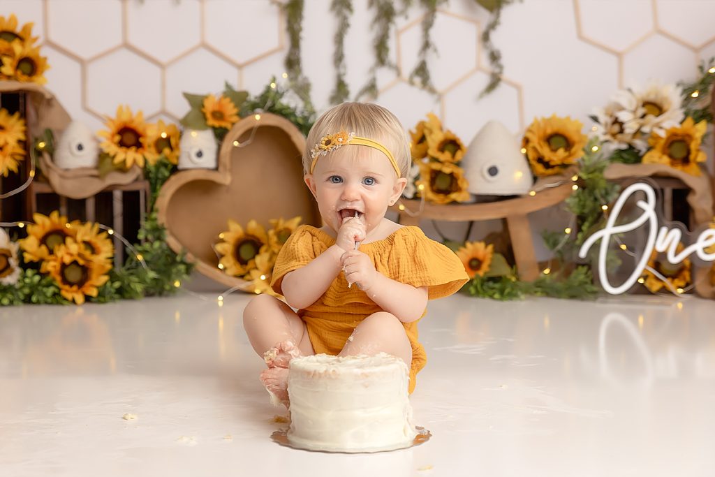 WEB-birthday-cakesmash7